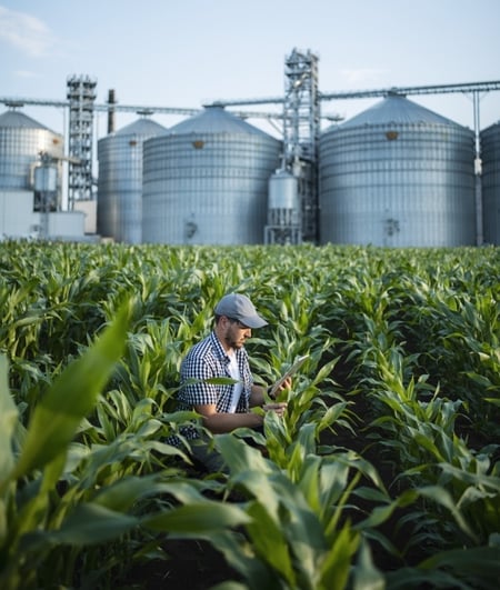 Agriculture-Crop-Insurance-Support-Crop-600-709