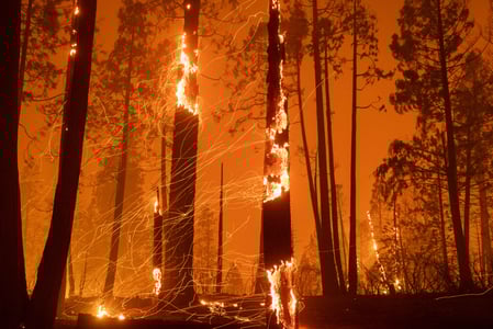 How Technology and Insurance Are Transforming Wildfire Resilience