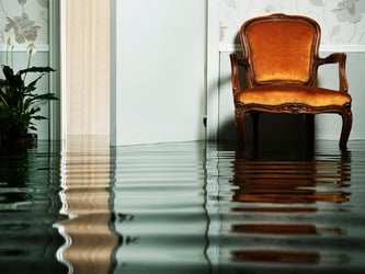 This photo shows flooded room depicting the evolving challenges to the fine art industry.