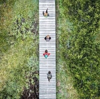 Footbridge-Path-People-Walking-Cropped-Square-Attempt-5