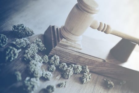 Gavel and marijuana.