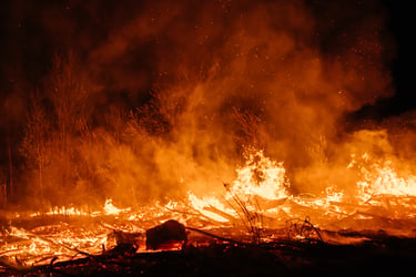 This photo shows a wildfire, sparks, and smoke at night. Trees are in the background, and one is fully engulfed in flames. Smoldering wood sits in the foreground, suggesting the fire is moving away from the viewer to consume the fuels in the background. Fires like this are terrifying for nearby homeowners. Before disaster strikes, it’s important to create a detailed wildfire evacuation plan for your family’s safety. 
