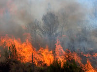 This photo shows flames engulfing a forest. Smoke from blazes like this can damage health and property, even hundreds of miles away. This blog post discusses how you can protect against the risks.