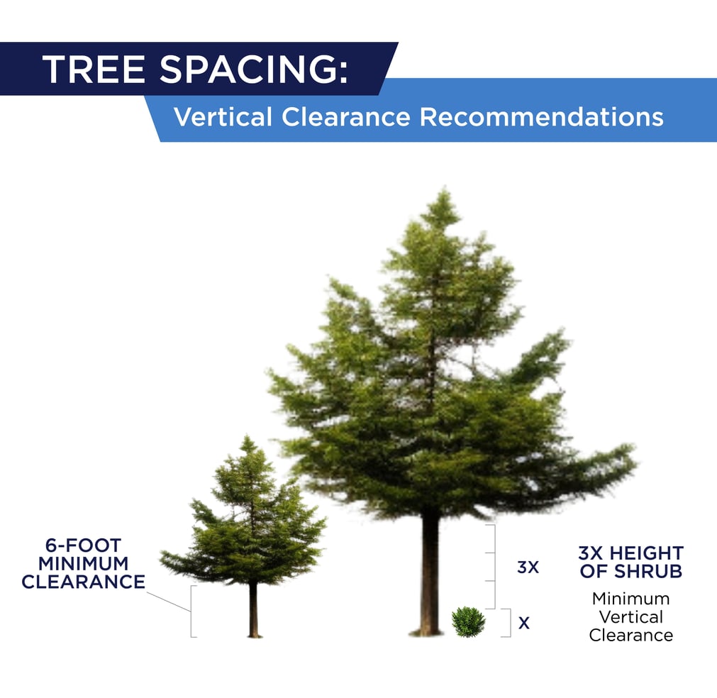 Illustration of tree spacing guidelines for vertical clearance to prevent wildfire risks. Highlights the importance of a 6-foot minimum vertical clearance from the ground and a distance of at least three times the height of nearby shrubs to the lowest tree branches. Ensures proper defensible space and reduces fire hazards.