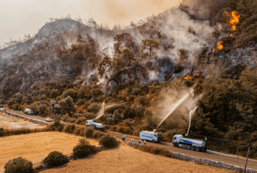 Wildfire Action Checklist