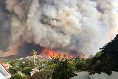 Can You Save Your Art Collection from Climate Change?