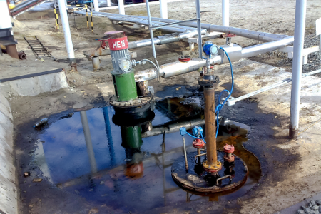 Not All Insurance is a Deficit: Environmental Protection Can Make You Money