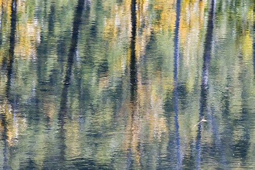 “Brother, can you spare a Monet?” What Do You Need to Know About Lending Art?